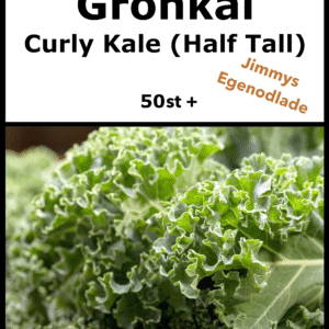 Grönkål Half Tall Frö