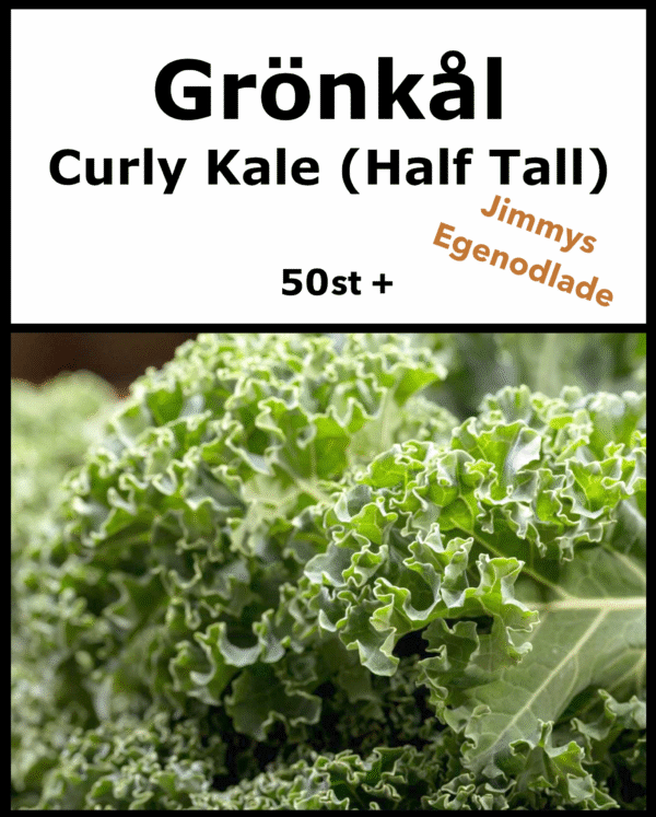 Grönkål Half Tall Frö